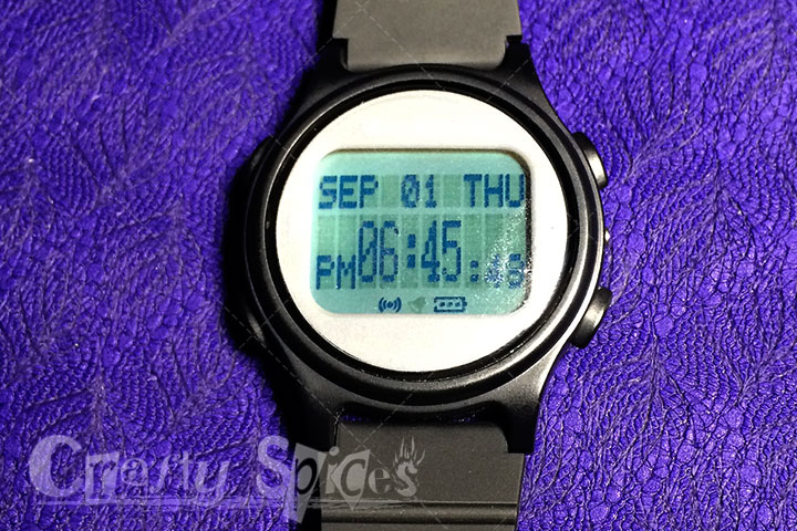 WatchMinder front display WatchMinder front face 02