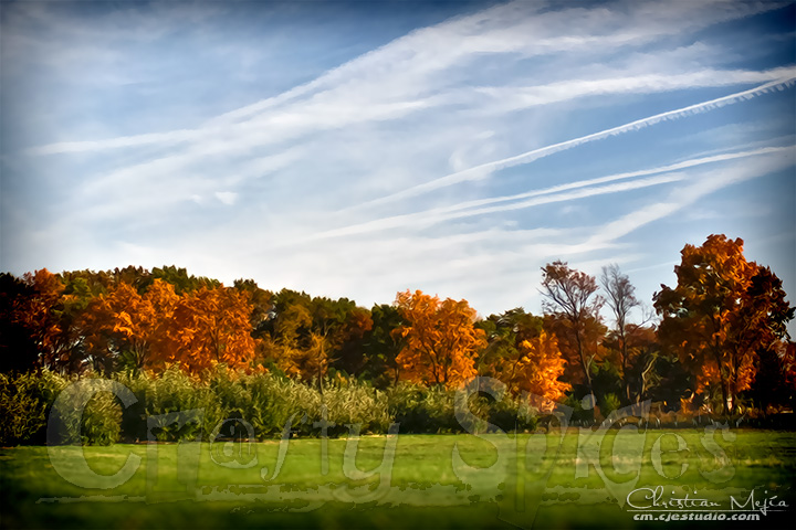 Fall Colors