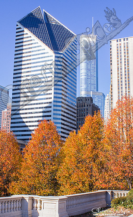 Fall Colors.