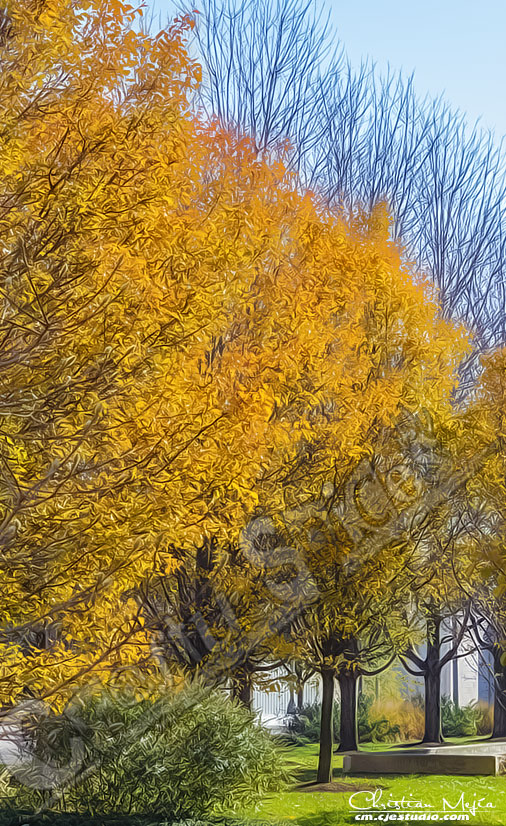 Fall Colors.
