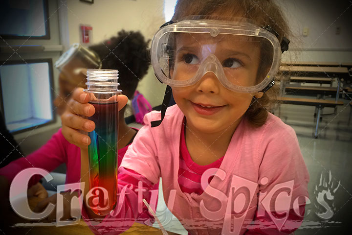 Little Scientist