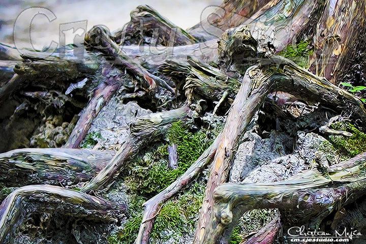 Surreal Nature 03
